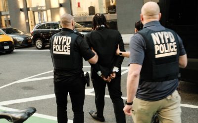 Artist Known for Scaling Buildings Was Arrested at His Show’s Opening