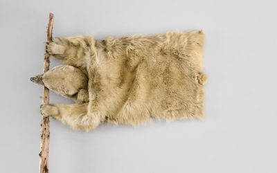 In an Exhibition of Native Artists, Clichés Give Way to Charged Memories
