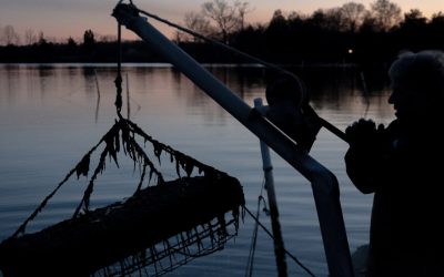 Sewage Sludge Fertilizer From Maryland? Virginians Say No Thanks.