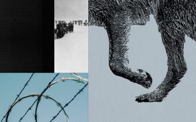 When Politics, Borders and Wolves Collide